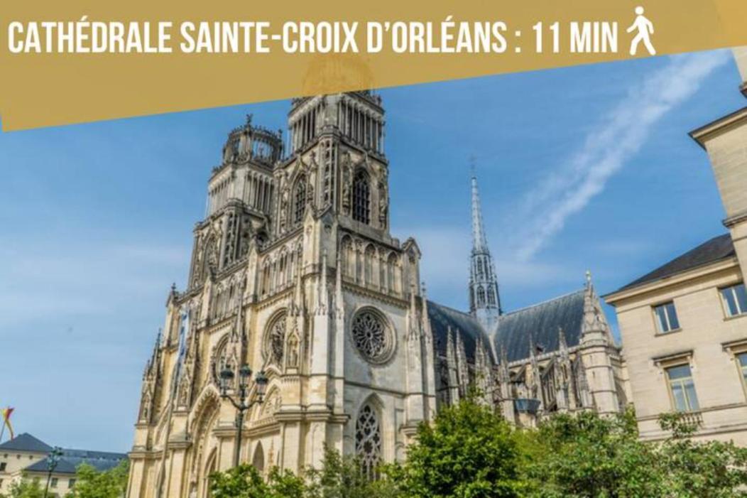 Spacieux Studio Neuf Orleans Centre 아파트 외부 사진